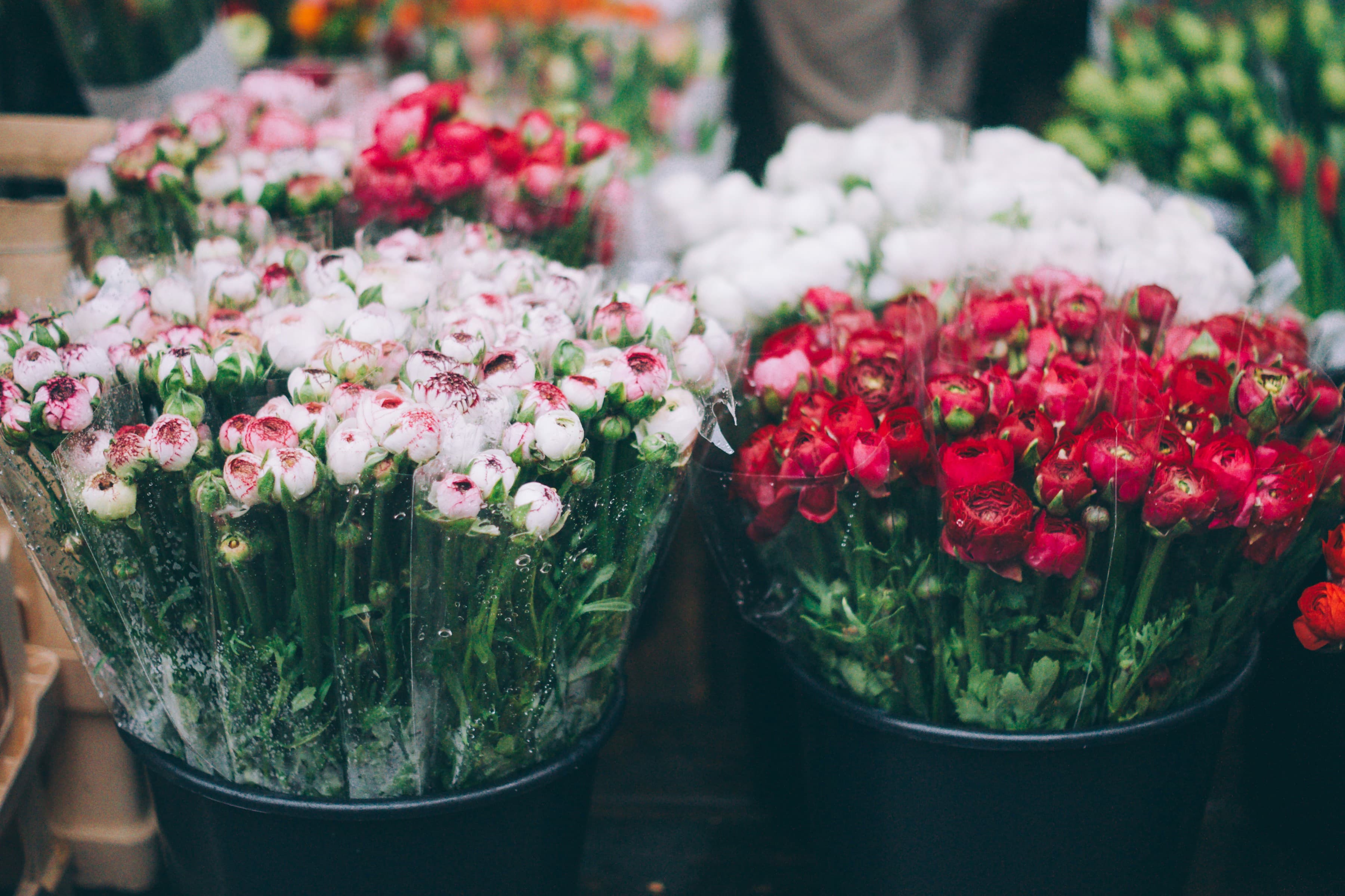 Fiori freschi in contenitori da lavoro