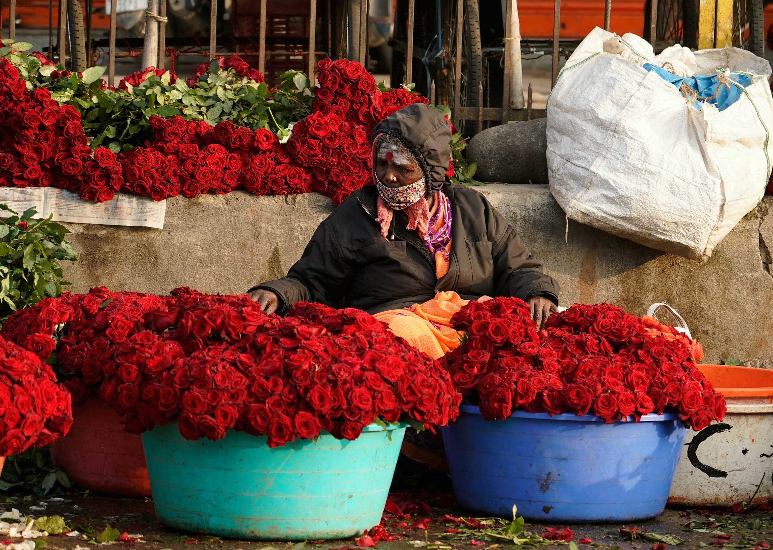 Rose rosse e fiori recisi pronti per la selezione